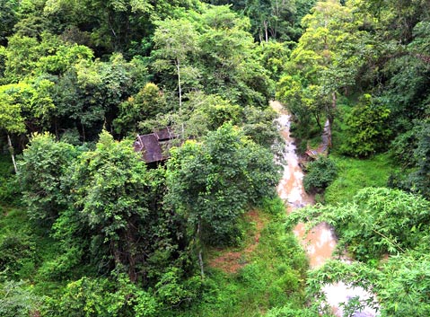 Xishuangbanna Tropical Rainforest