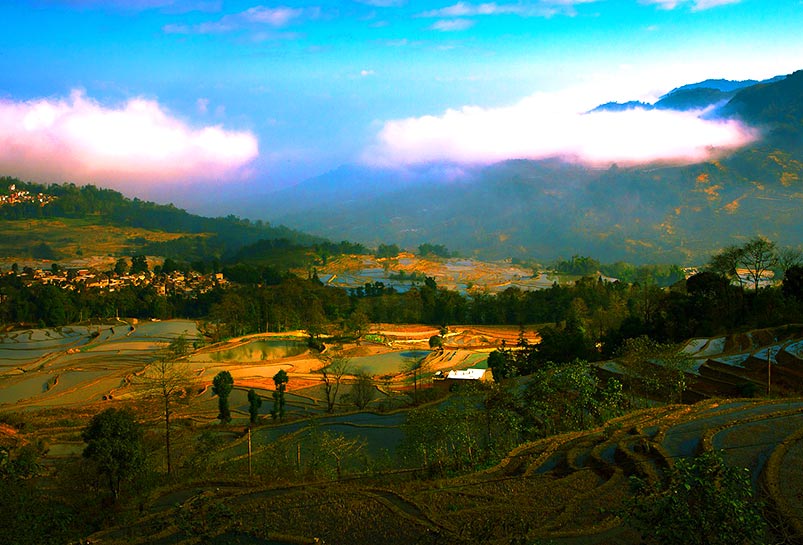 The Colorful Yuanyang Rice Terraces
