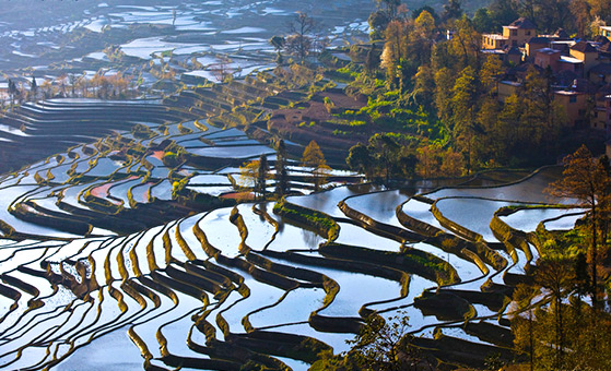 7 Days Kunming and Yuanyang Natural Beauty Tour