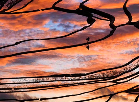 Sunset at Yuanyang Rice Terraces