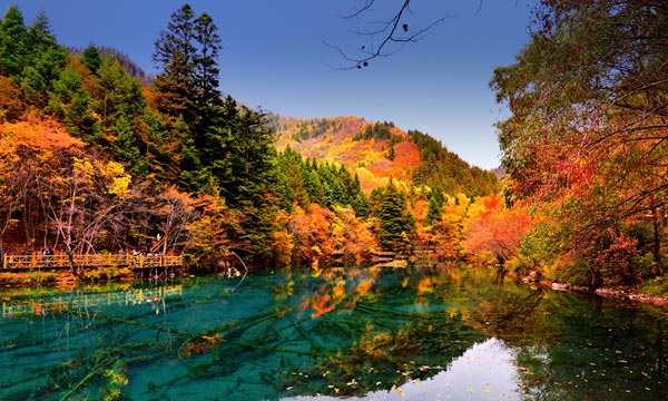 The scenic beauty in Jiuzhaigou