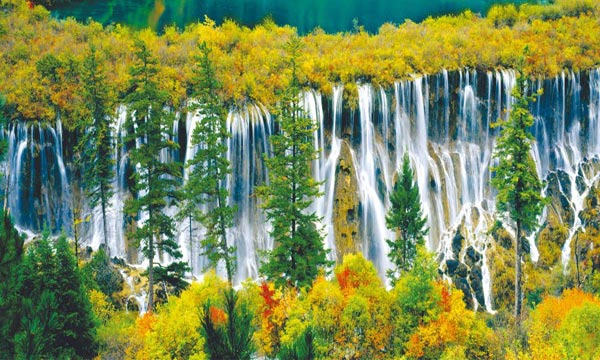 charming picture in autumn