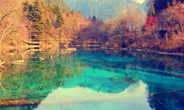 Marvelous beauty in Jiuzhaigou
