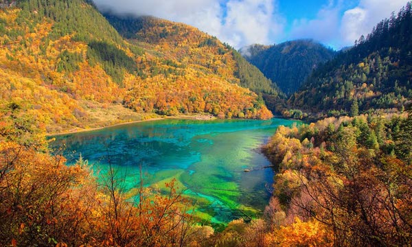 Charming view in autumn in Jiuzhaigou