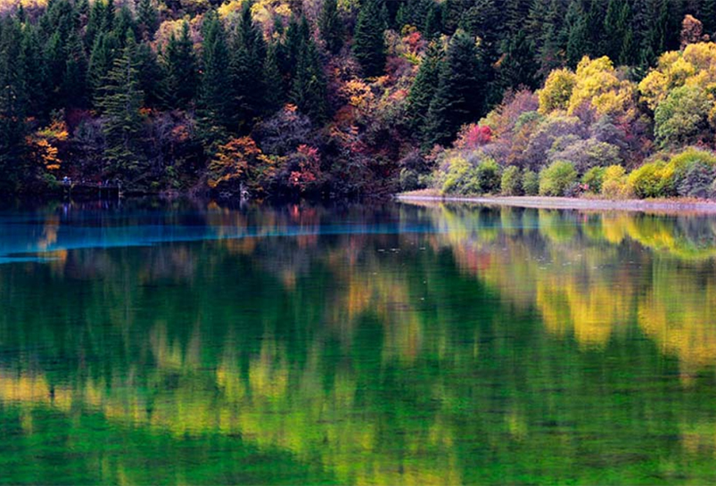 Jiuzhaigou Five Flower Sea