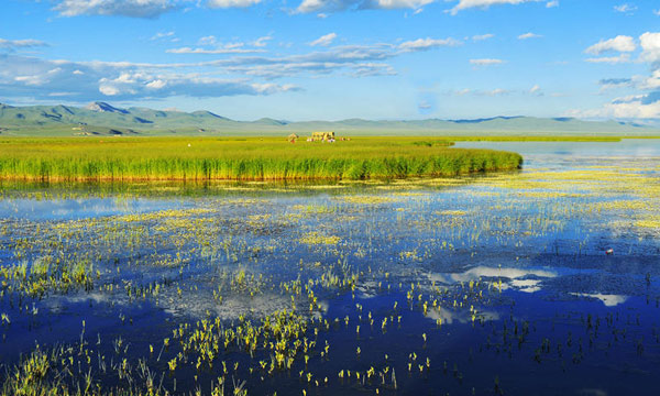 Ruoergai grassland – Flower Lake