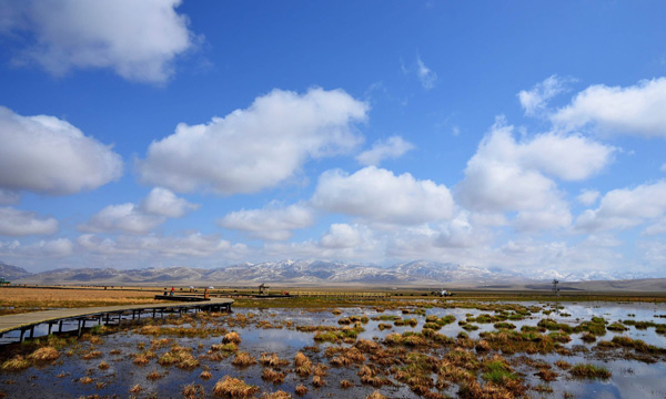 Flower Lake