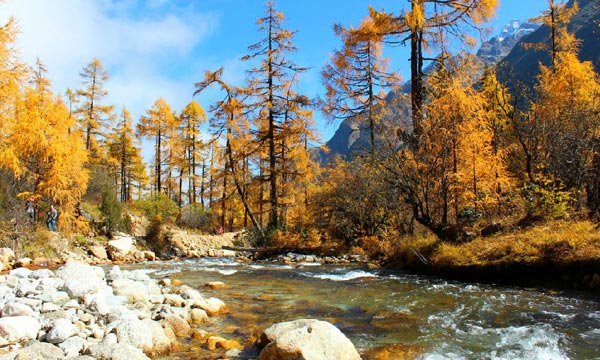  Guergou autumn 