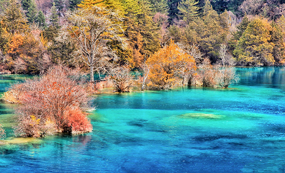4 Days Chengdu Jiuzhaigou Photography Tour