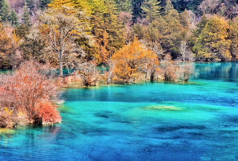 Sparkling Sea in Jiuzhaigou