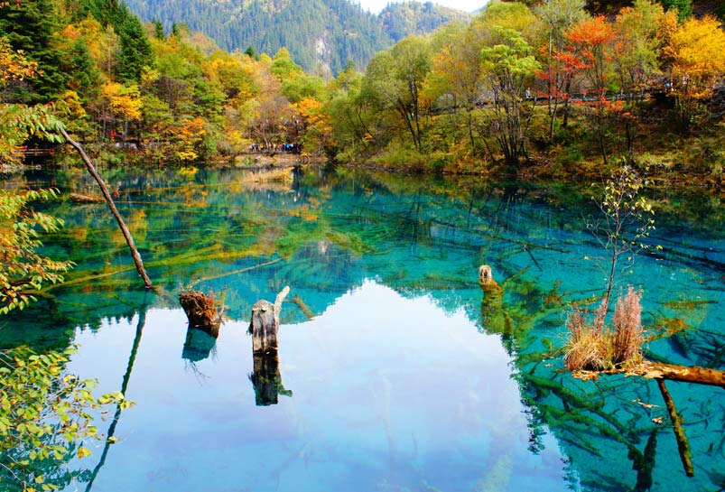 Jiuzhaigou in Autumn