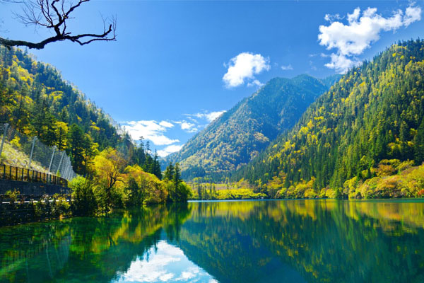 Enjoy Jiuzhaigou summer lively scene