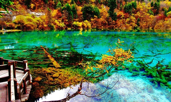  Jiuzhaigou Landscape in November 