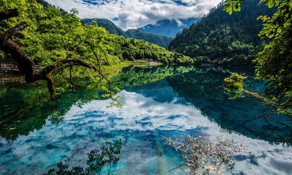 Enjoy the fascinating scenery at the Valley Park
