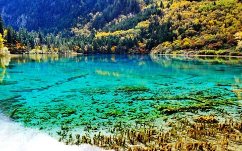 Jiuzhaigou Tour