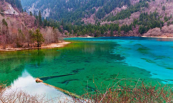  The mixed scenery of spring and winter in Jiuzhaigou 