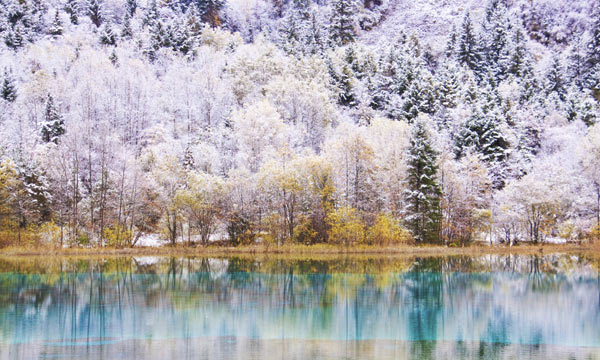  Peaceful snow scenery