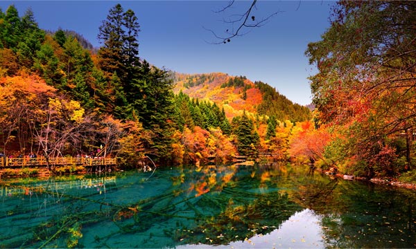 Powerful colors in autumn in Jiuzhaigou