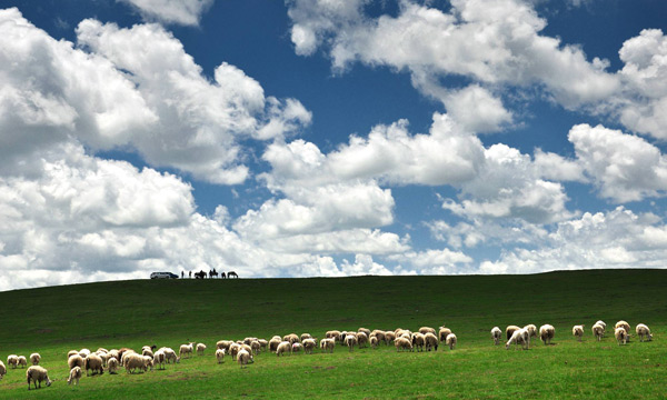 Ruoergai Grassland
