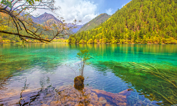 Colorful lakes and forest valleys in Jiuzhaigou National Park