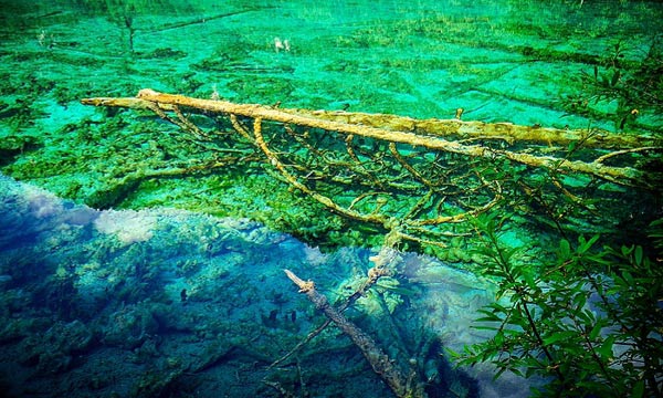 Shining lakes in June in Jiuzhaigou