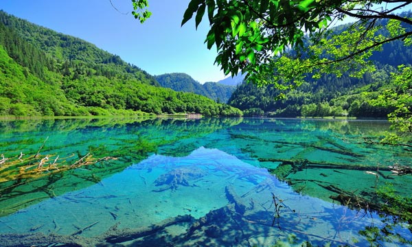 Spring sights in Jiuzhaigou