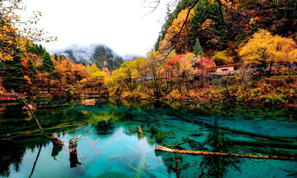  the beauty sights in November 