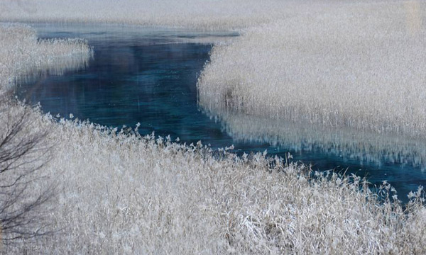 Jiuzhaigou blue lakes are surrounded by the snow-covered woods