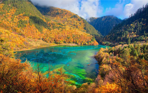 Is November too late for foliage color in Jiuzhaigou? - Detailed Jiuzhaigou Weather Condition in November