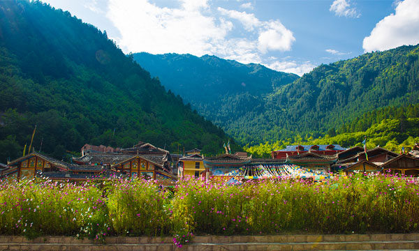 Trip in the Rize Valley