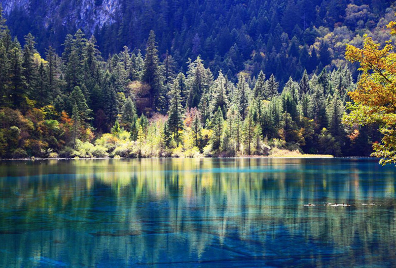 Five Flower Sea in Jiuzhaigou