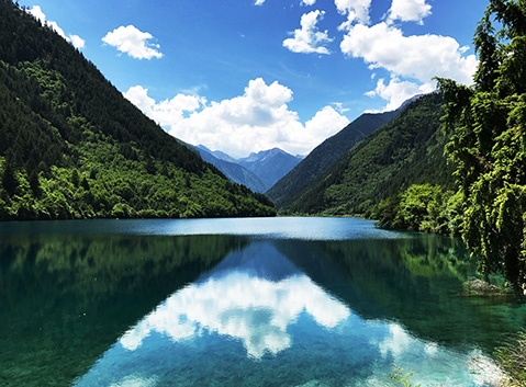 The Rhinoceros Sea of Jiuzhaigou