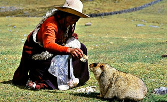 Recommended Itinerary of Danba Tour from Chengdu