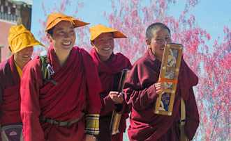 Lamas in Seda