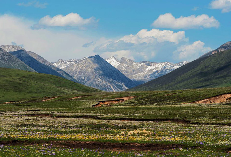 Hongyuan Grassland