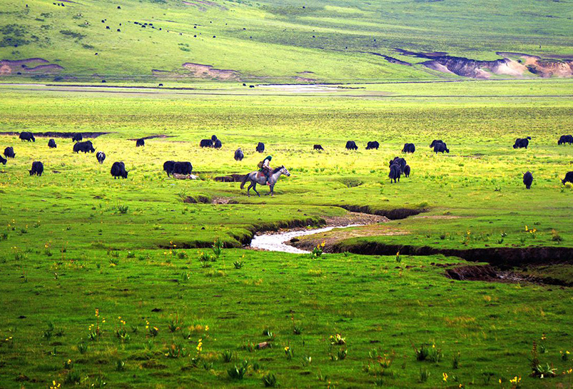 Ruo’ergai Grand Prairie