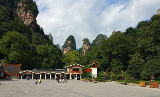 6 Day Zhangjiajie World Marvel and Panda Volunteer Tour