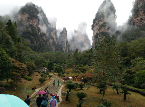 Visit Zhangjiajie National Park