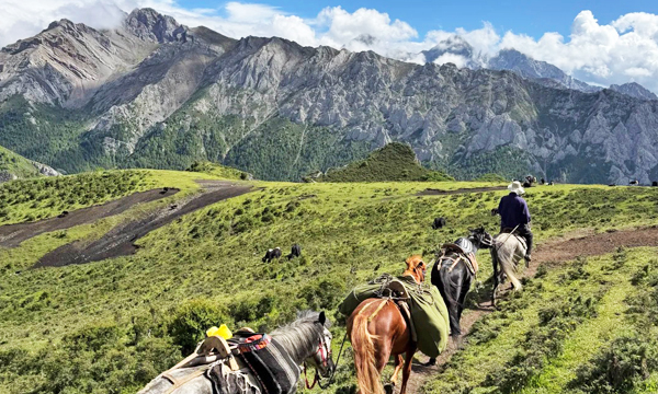 Pack horses carrying supplies in Qizanggou Valley