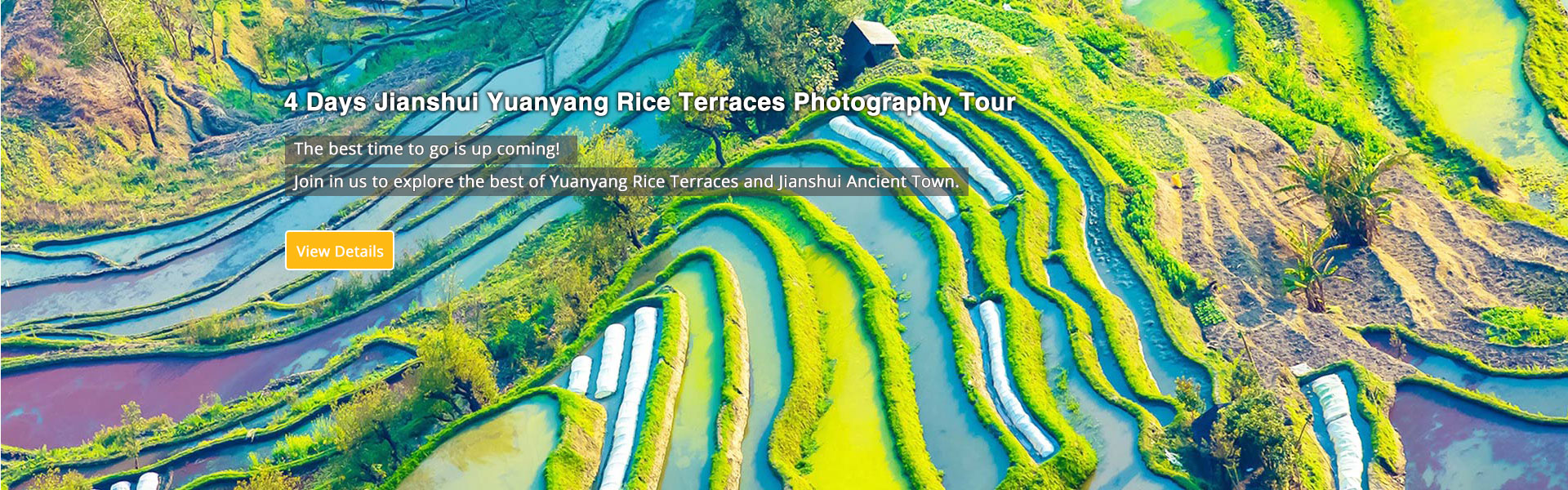 Jianshui Yuanyang Rice Terraces Tour
