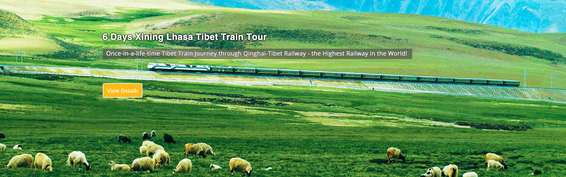 Xining Lhasa Train Tour