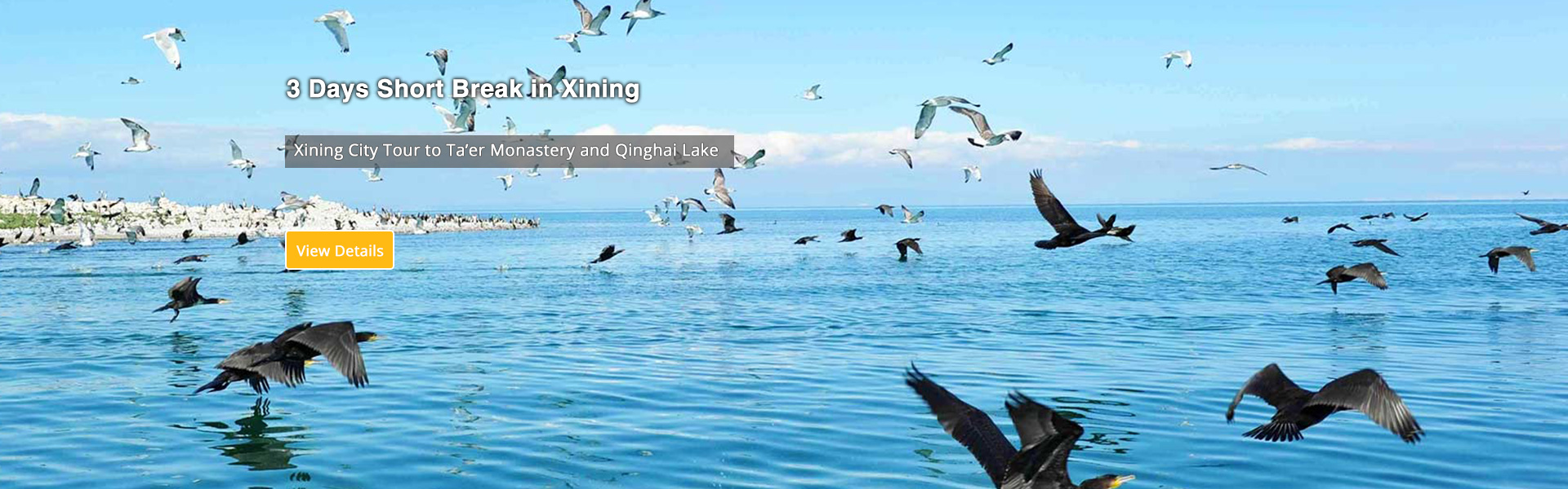 Xining Qinghai Lake Tour