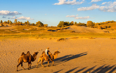 When Is the Best Time to Visit the Silk Road in China?