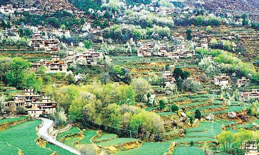 The Spring of Jiaju Tibetan Village