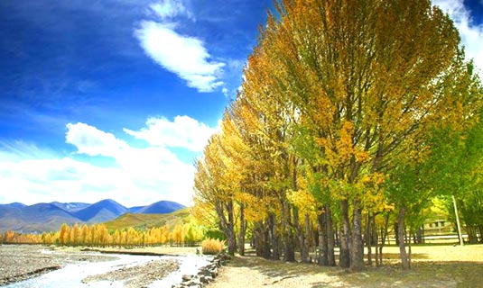 Bang River
