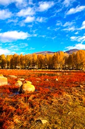 Daocheng Yading Climate