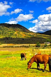 Daocheng Yading Recommended Itineraries