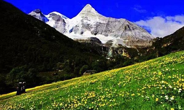 Daocheng Yading Spring