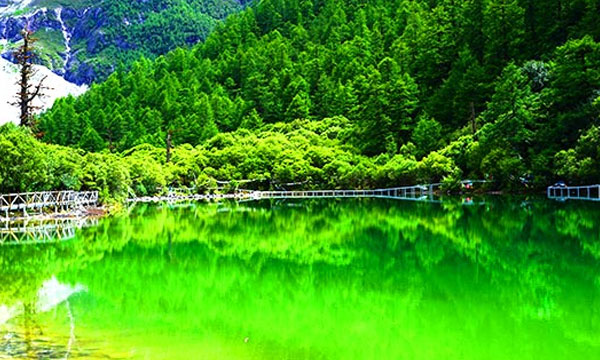 Daocheng Yading Summer
