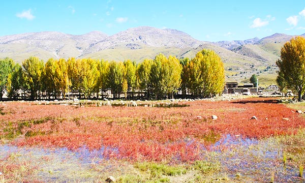 Riwa Town